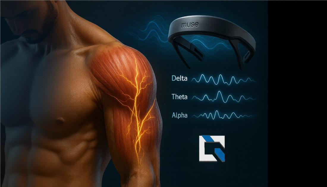 La Technologie Q-S et activation neuro-musculaire : premiers résultats d’une étude pilote
