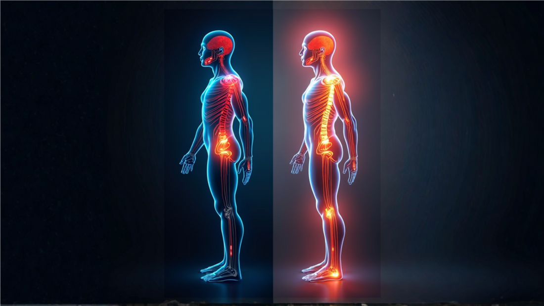 Comment Q-Technology révolutionne la posture et la circulation sanguine cérébrale